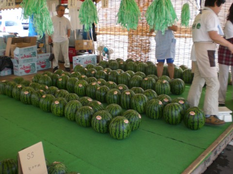 20090803b.jpg