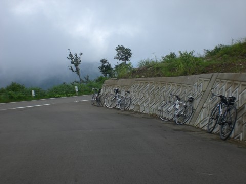 20090803d.jpg