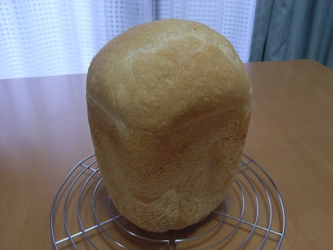20100213a.jpg