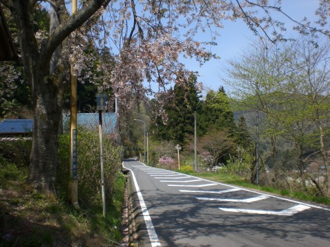 20100428a.jpg