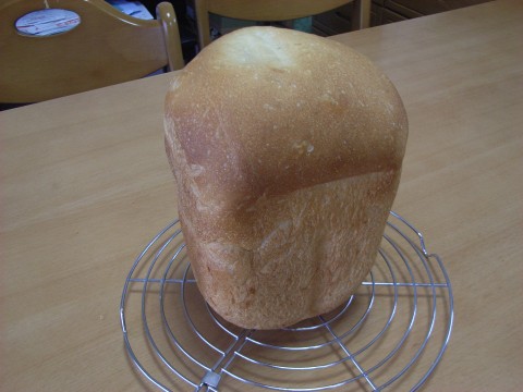 20100520a.jpg