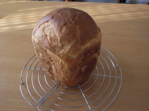 20100521a.jpg