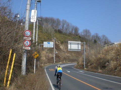 20110227a.jpg