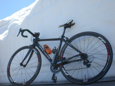 20110418b.jpg
