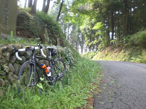 20110605a.jpg